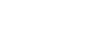 Incognito Concept